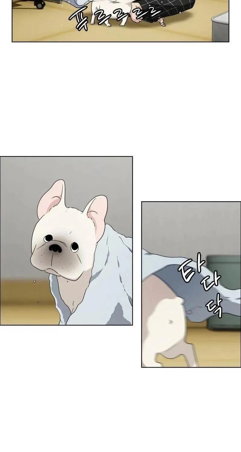 đọc truyện Kiếm Vương Chương 1 ảnh 218 tại Thiên Thai Truyện