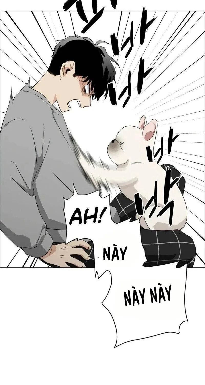 đọc truyện Kiếm Vương Chương 1 ảnh 228 tại Thiên Thai Truyện