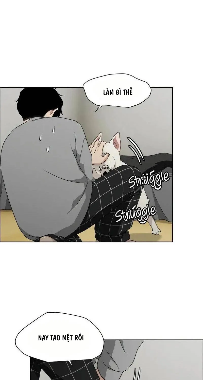 đọc truyện Kiếm Vương Chương 1 ảnh 229 tại Thiên Thai Truyện