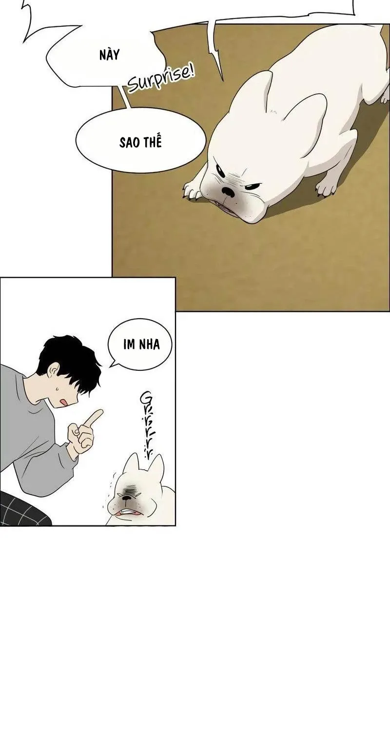 đọc truyện Kiếm Vương Chương 1 ảnh 235 tại Thiên Thai Truyện