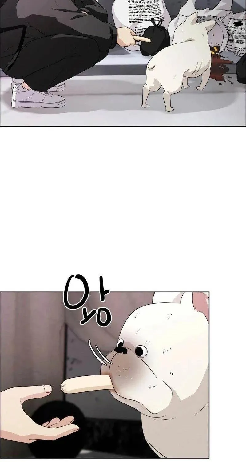 đọc truyện Kiếm Vương Chương 1 ảnh 47 tại Thiên Thai Truyện