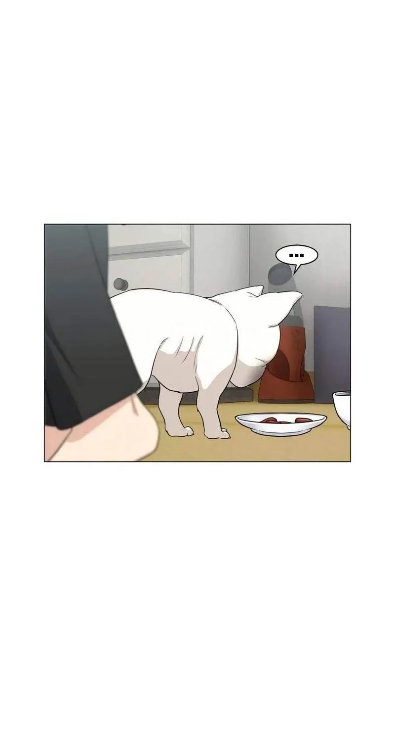 đọc truyện Kiếm Vương Chương 2 ảnh 178 tại Thiên Thai Truyện