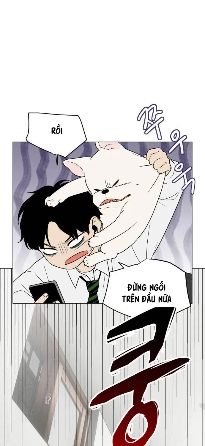 đọc truyện Kiếm Vương Chương 3 ảnh 68 tại Thiên Thai Truyện