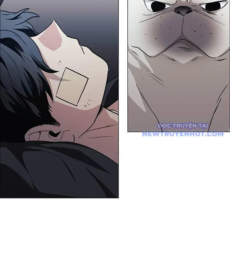 đọc truyện Kiếm Vương Chương 37 ảnh 142 tại Thiên Thai Truyện