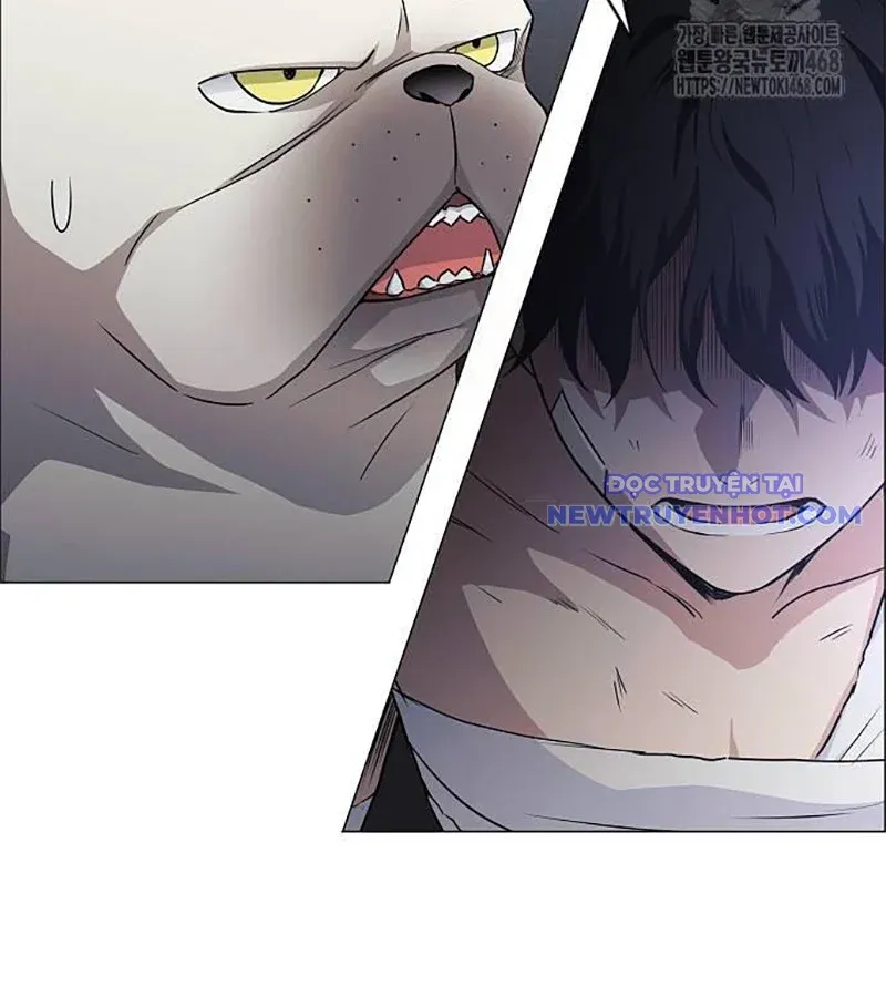 đọc truyện Kiếm Vương Chương 37 ảnh 174 tại Thiên Thai Truyện