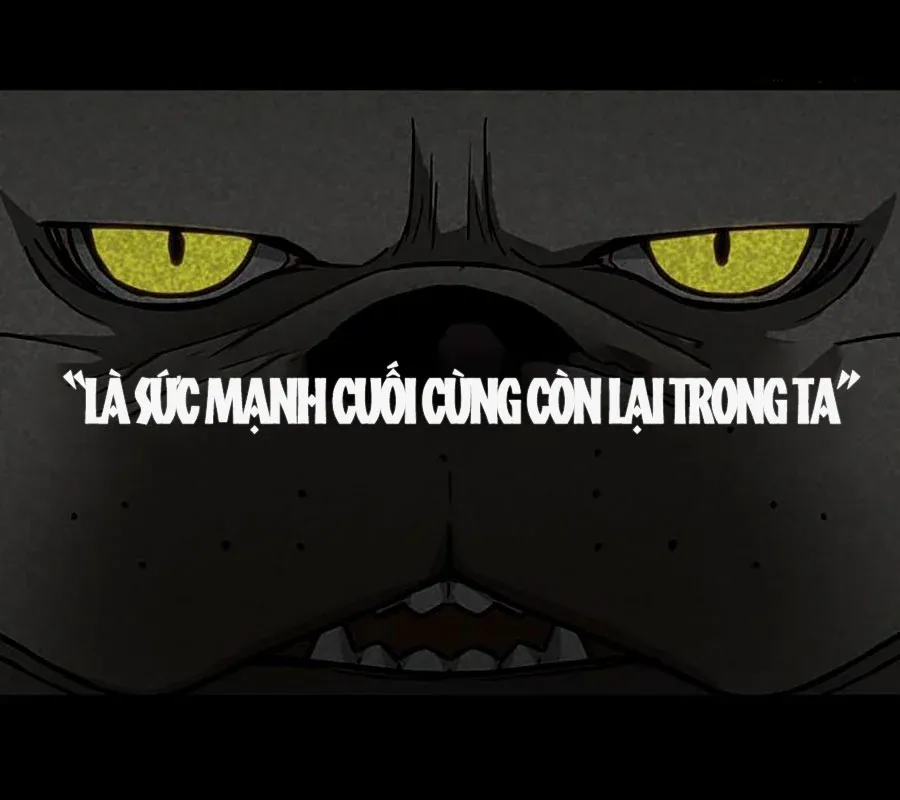 đọc truyện Kiếm Vương Chương 45 ảnh 166 tại Thiên Thai Truyện