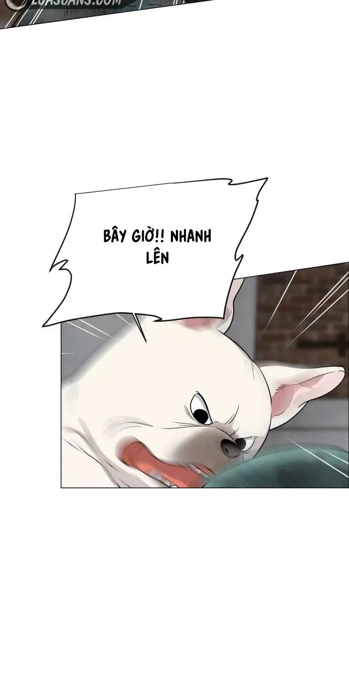 đọc truyện Kiếm Vương Chương 5 ảnh 19 tại Thiên Thai Truyện