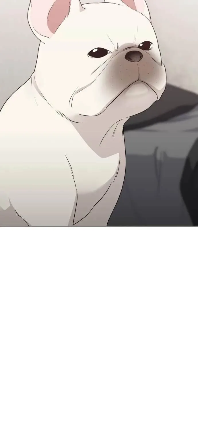 đọc truyện Kiếm Vương Chương 5 ảnh 95 tại Thiên Thai Truyện