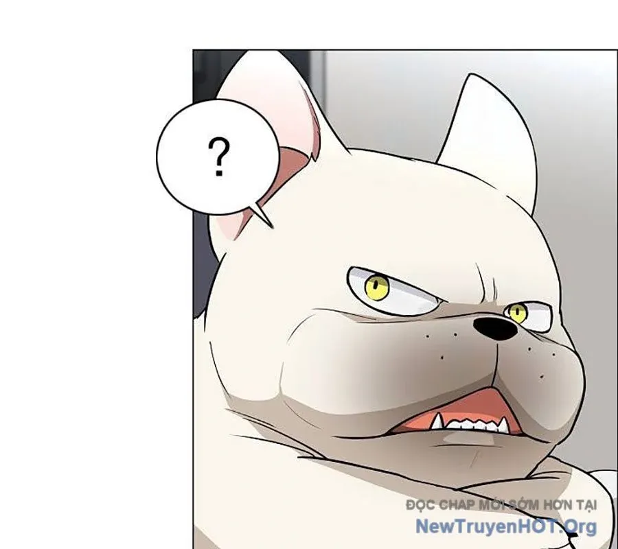 đọc truyện Kiếm Vương Chương 55 ảnh 131 tại Thiên Thai Truyện