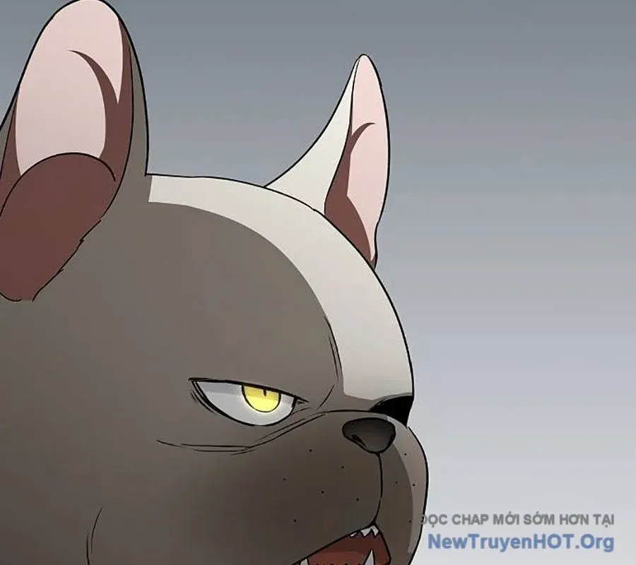 đọc truyện Kiếm Vương Chương 55 ảnh 179 tại Thiên Thai Truyện