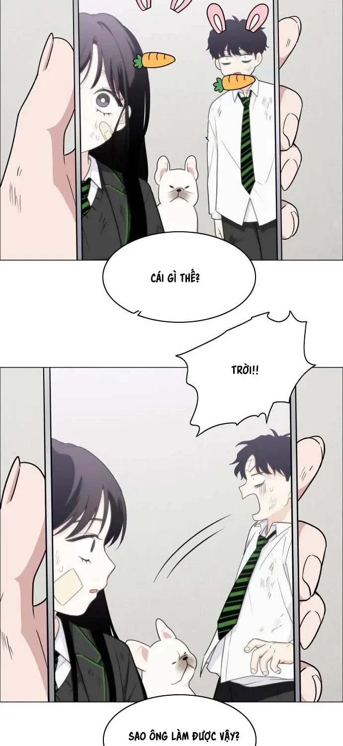 đọc truyện Kiếm Vương Chương 6 ảnh 17 tại Thiên Thai Truyện