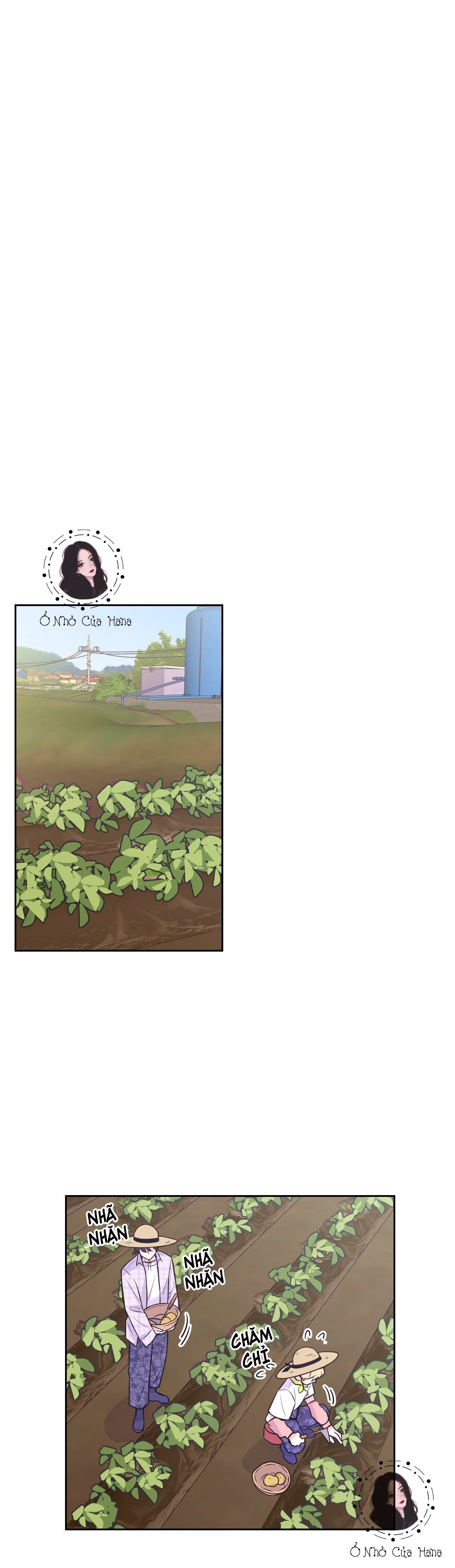 đọc truyện Kinh Nghiệm Cảnh Nóng Chương 10 ảnh 15 tại Thiên Thai Truyện