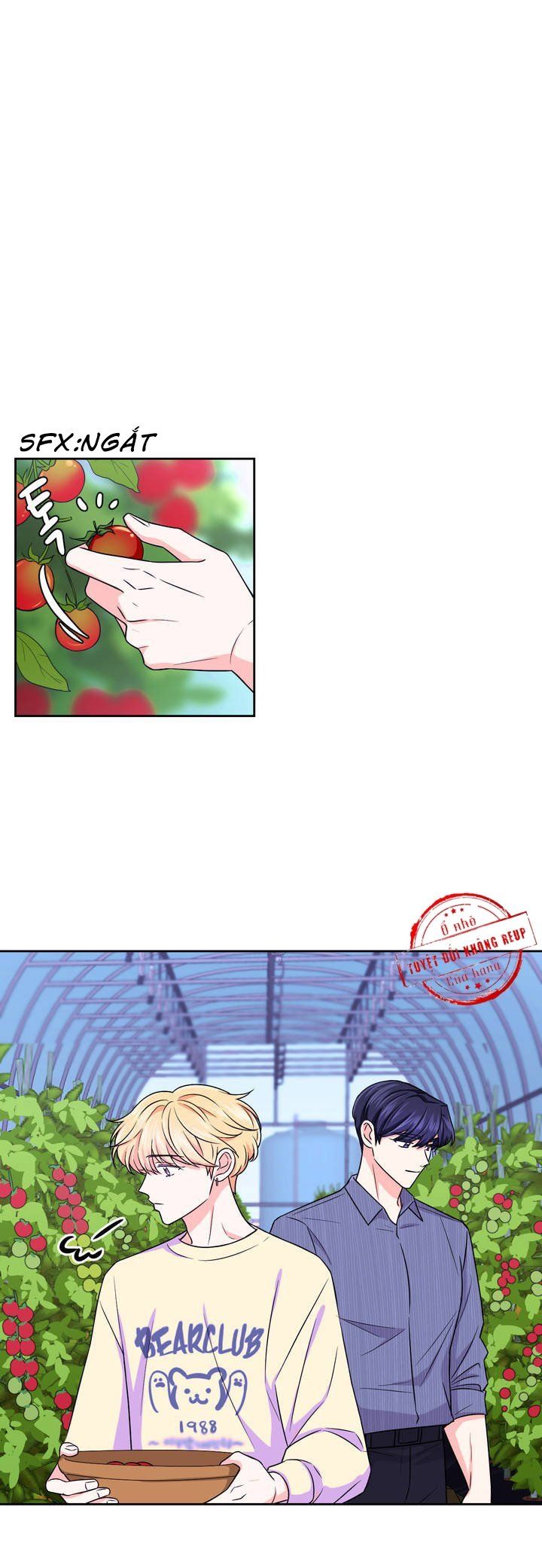 đọc truyện Kinh Nghiệm Cảnh Nóng Chương 37 ảnh 19 tại Thiên Thai Truyện