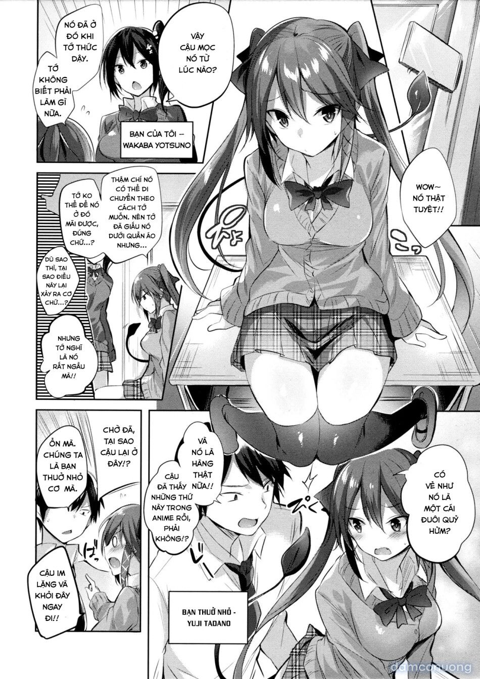 đọc truyện Koakuma Setsuko No Himitsu [小悪魔せつこの秘密] Chương 1 ảnh 5 tại Thiên Thai Truyện