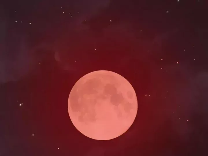 đọc truyện Kỷ Nguyên Kỳ Lạ Chương 515 ảnh 110 tại Thiên Thai Truyện