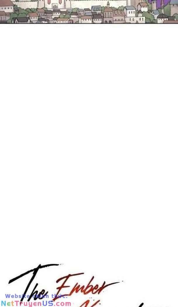 đọc truyện Kỵ Sĩ Báo Thù Chương 128 ảnh 34 tại Thiên Thai Truyện