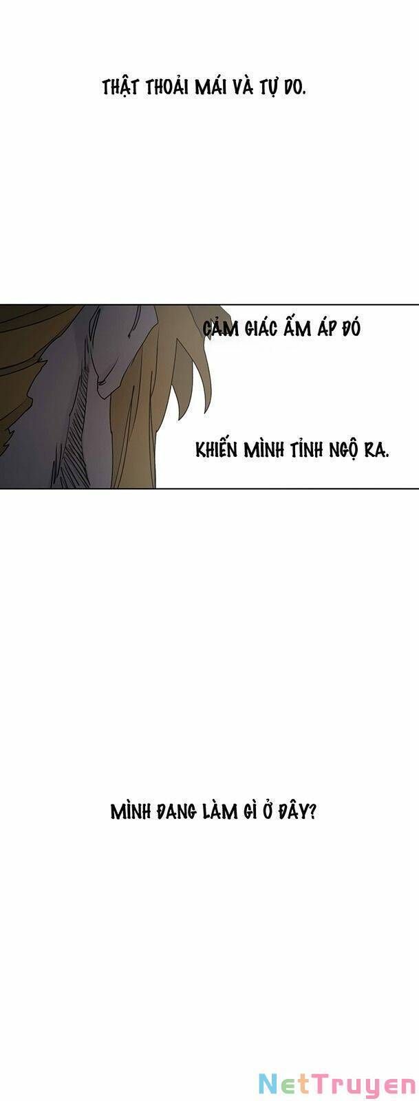 đọc truyện Kỵ Sĩ Báo Thù Chương 87 ảnh 43 tại Thiên Thai Truyện