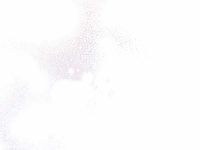 đọc truyện Ký Sự Hồi Quy Chương 117 ảnh 152 tại Thiên Thai Truyện