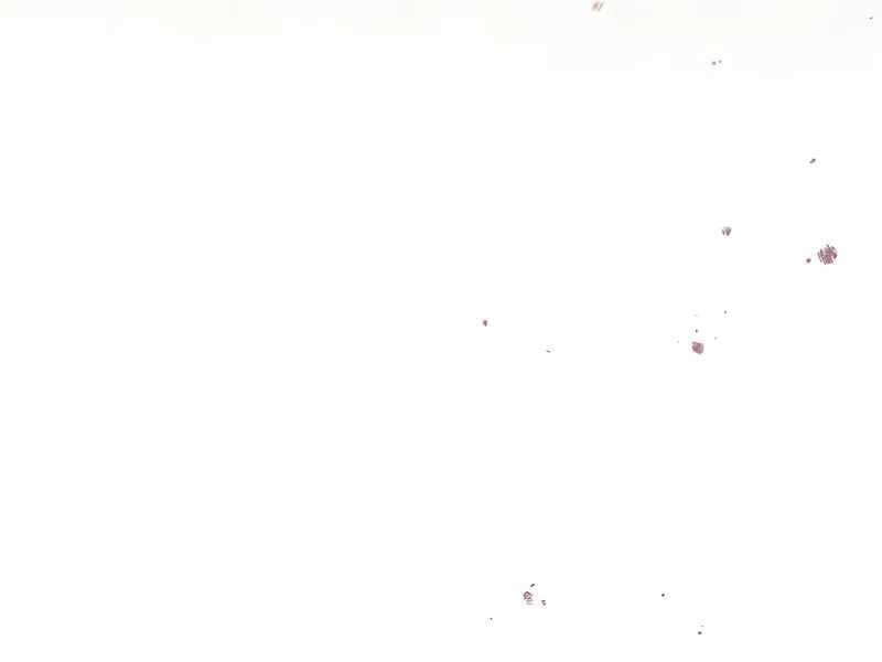 đọc truyện Ký Sự Hồi Quy Chương 117 ảnh 217 tại Thiên Thai Truyện