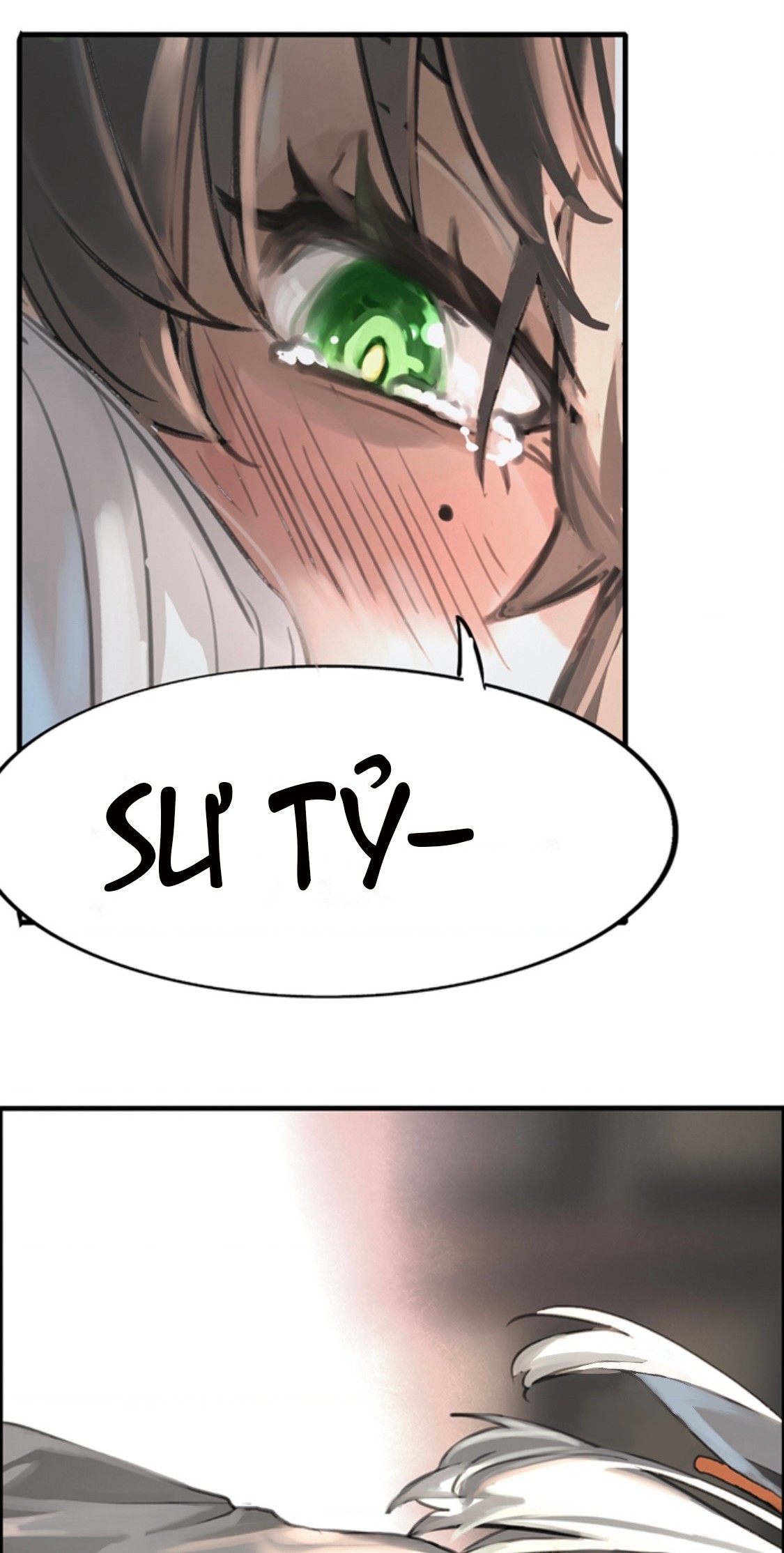 đọc truyện Là Sư Tỷ, Chúng Ta Được Cứu Rồi! Chương 0 ảnh 8 tại Thiên Thai Truyện