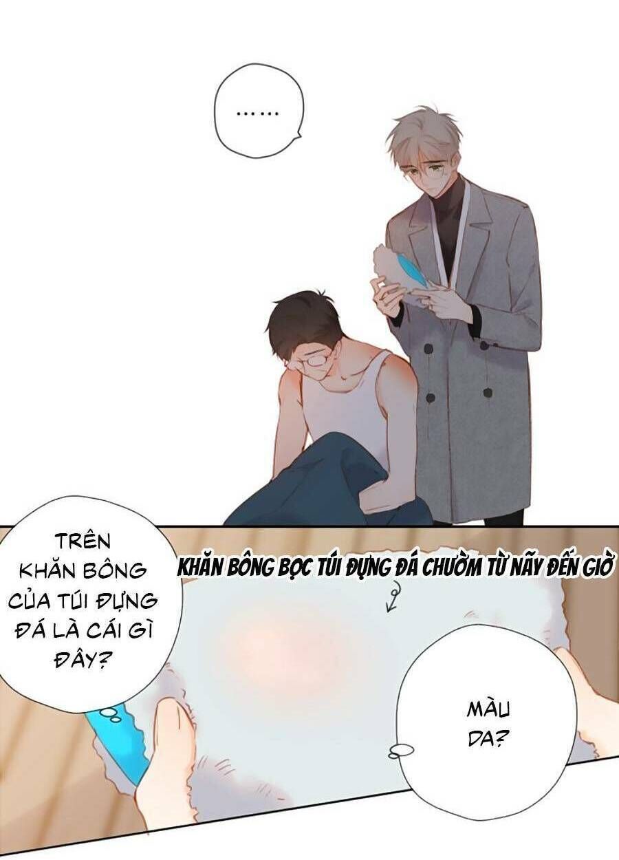 đọc truyện Lại Gặp Được Em Chương 130 ảnh 32 tại Giả Dược