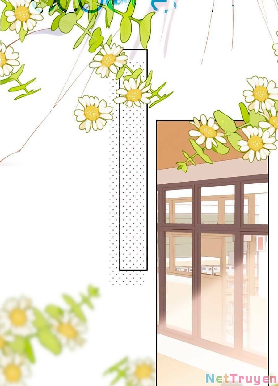 đọc truyện Lại Gặp Được Em Chương 133 ảnh 8 tại Giả Dược