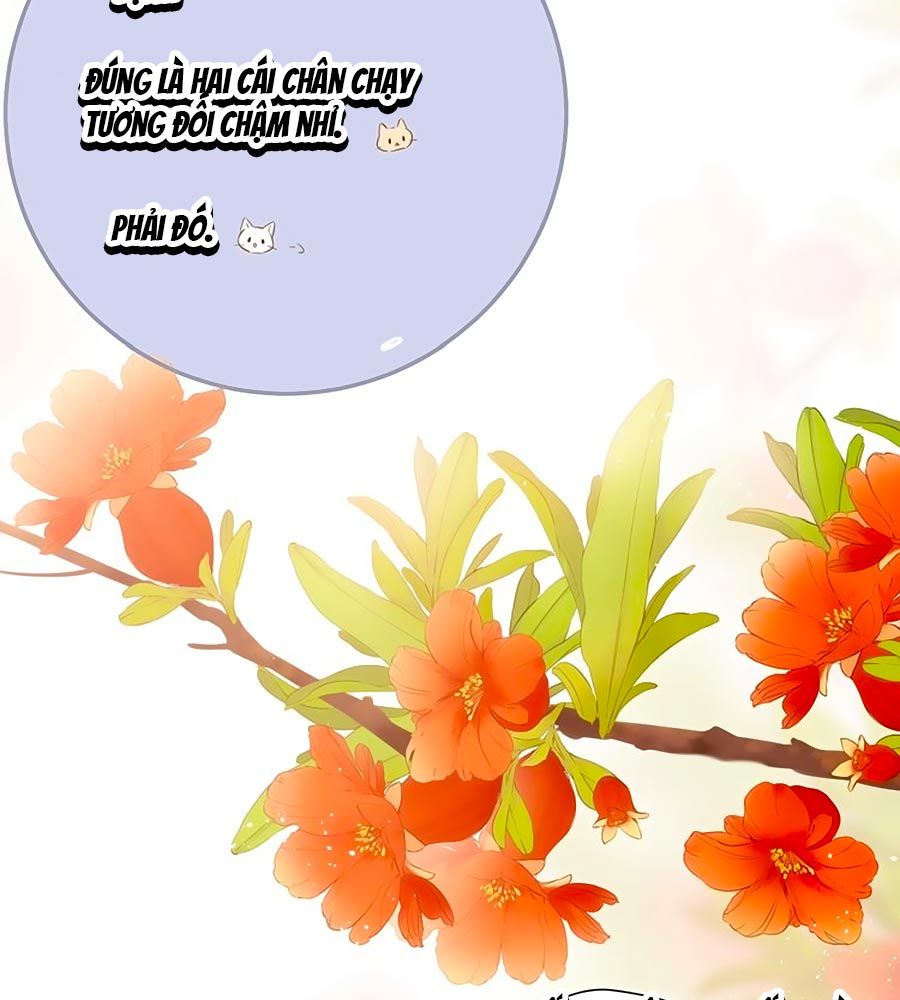 đọc truyện Lại Gặp Được Em Chương 54.5 ảnh 9 tại Giả Dược