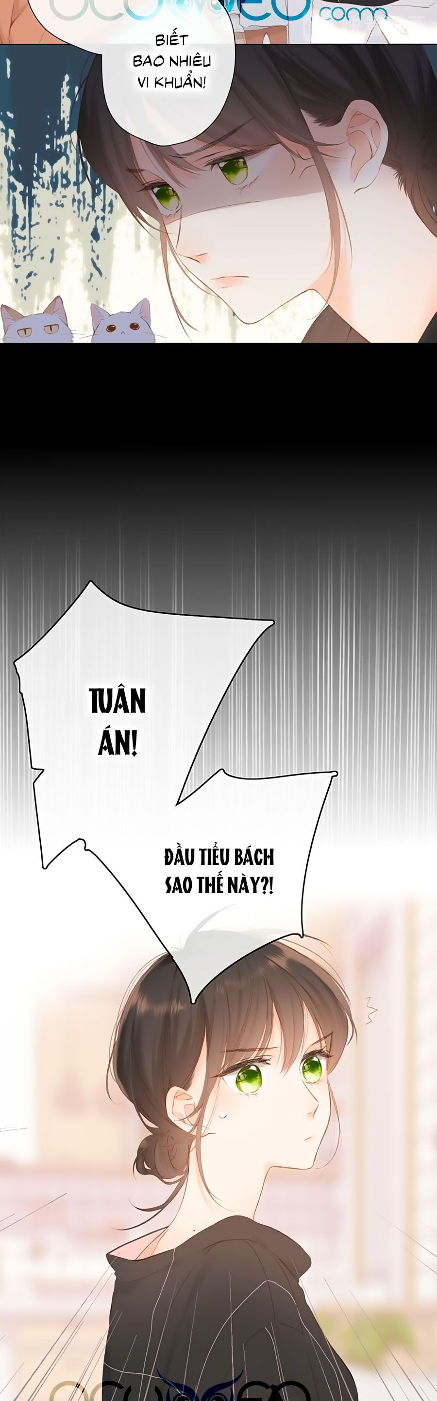 đọc truyện Lại Gặp Được Em Chương 64 ảnh 9 tại Giả Dược