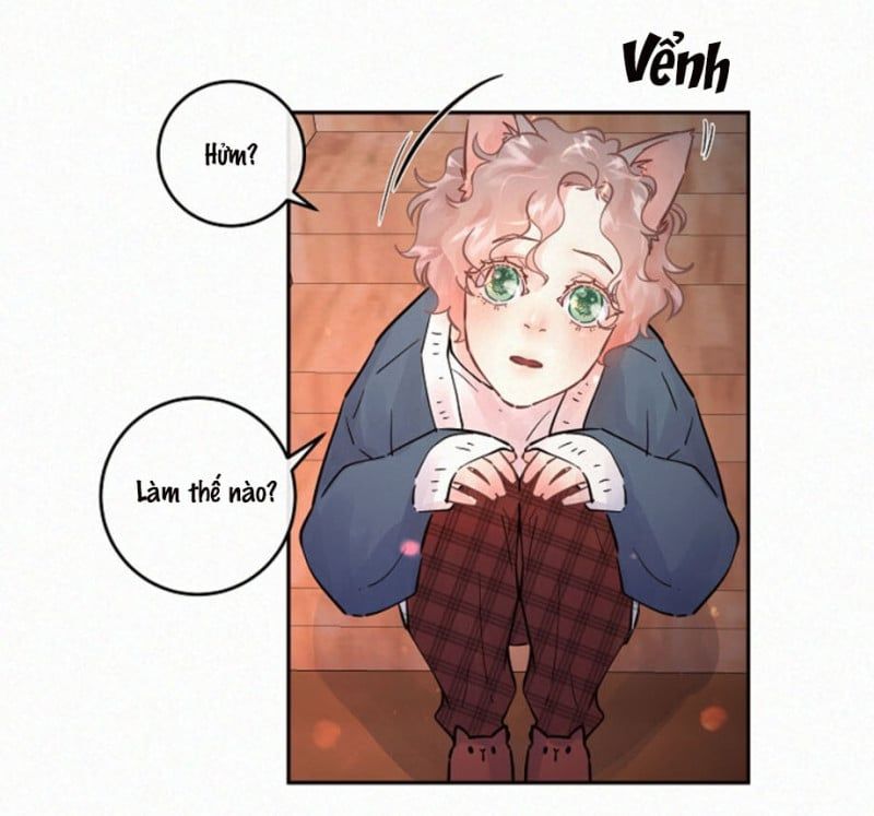 đọc truyện Làm Cách Nào Để Theo Đuổi Một Alpha? Chương 84.13 ảnh 9 tại Thiên Thai Truyện