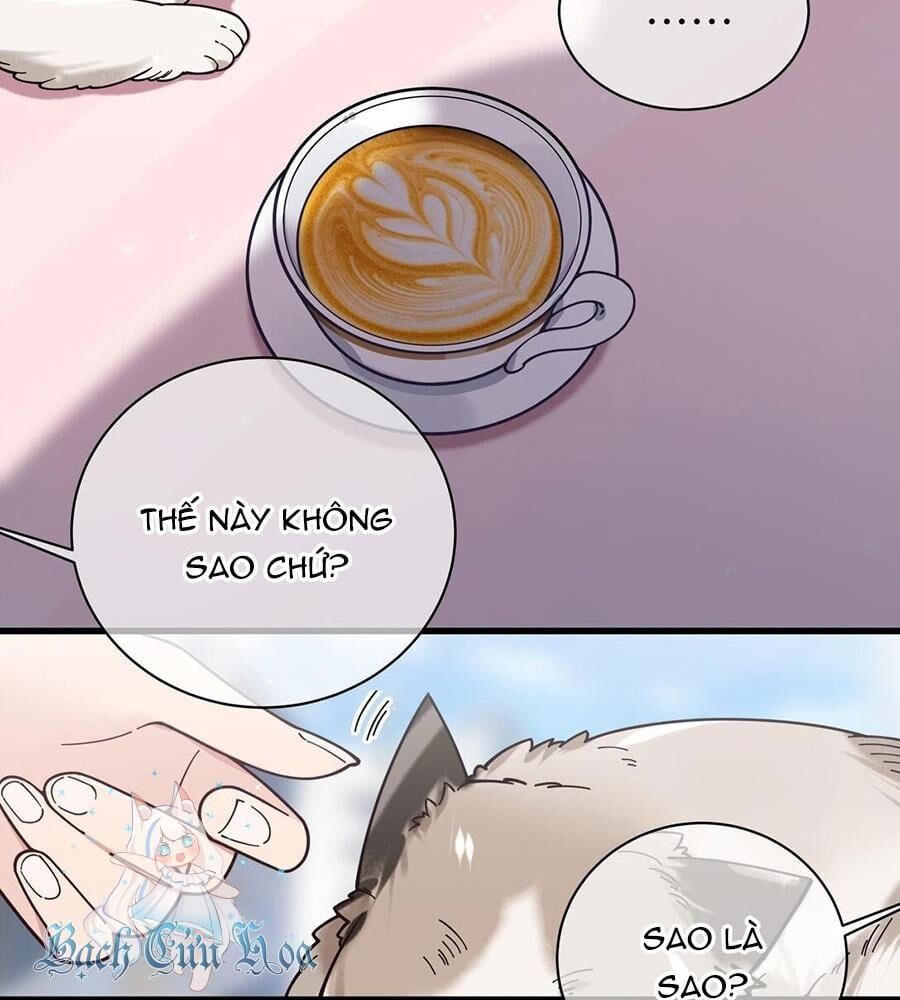 đọc truyện Làm Sao Để Chạy Trốn Dàn Hậu Cung Chương 124 ảnh 10 tại Thiên Thai Truyện