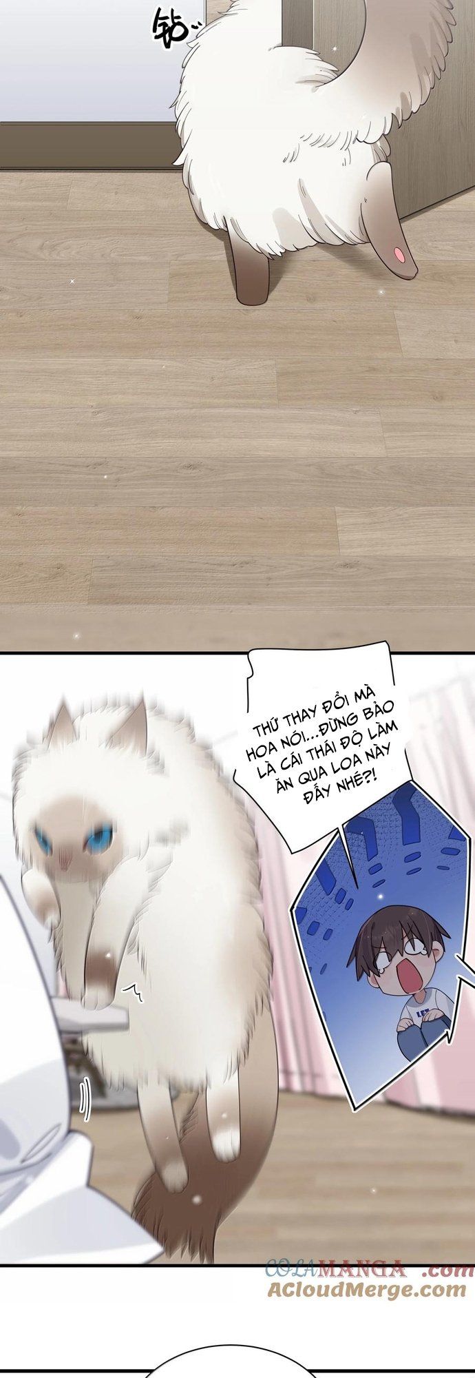 đọc truyện Làm Sao Để Chạy Trốn Dàn Hậu Cung Chương 137 ảnh 16 tại Thiên Thai Truyện