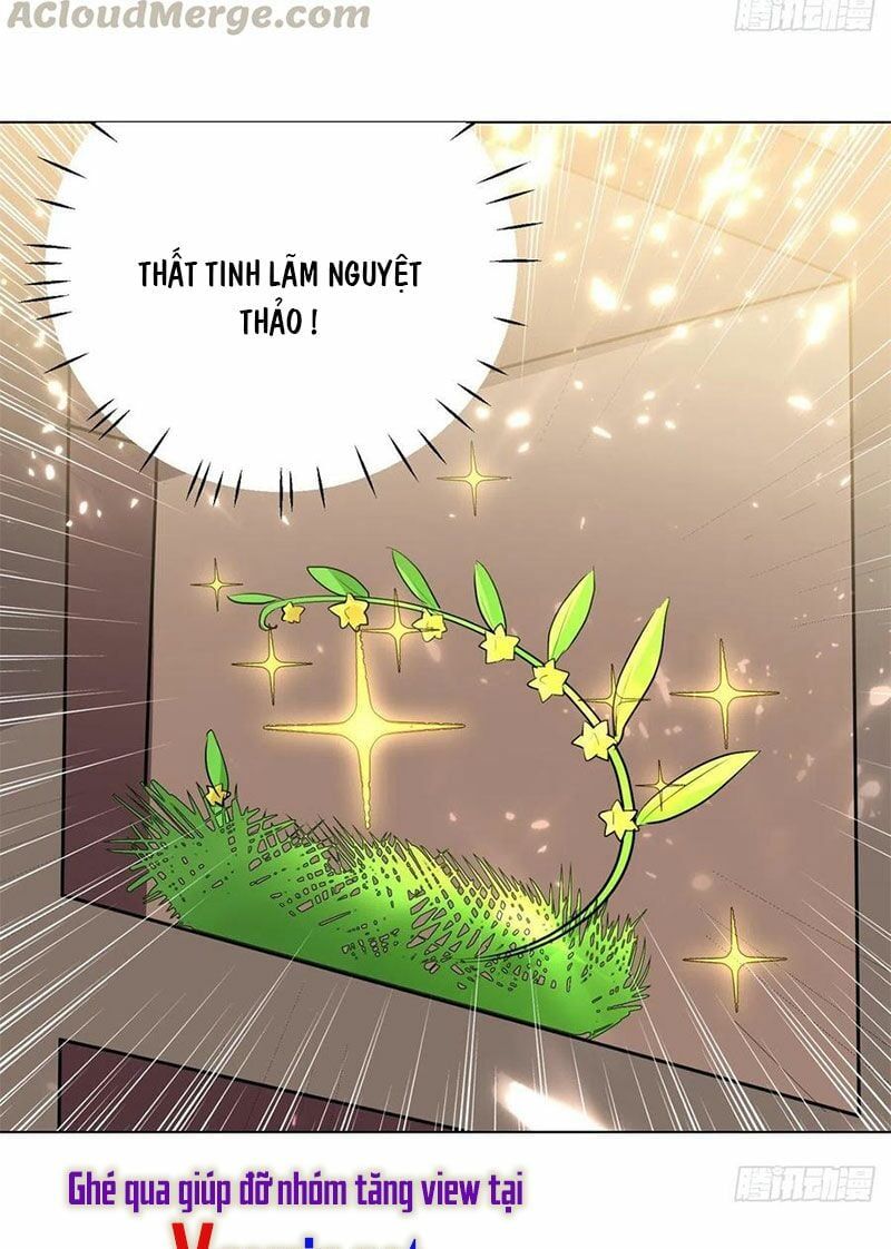 đọc truyện Lăng Thiên Thần Đế Chương 167 ảnh 17 tại Thiên Thai Truyện