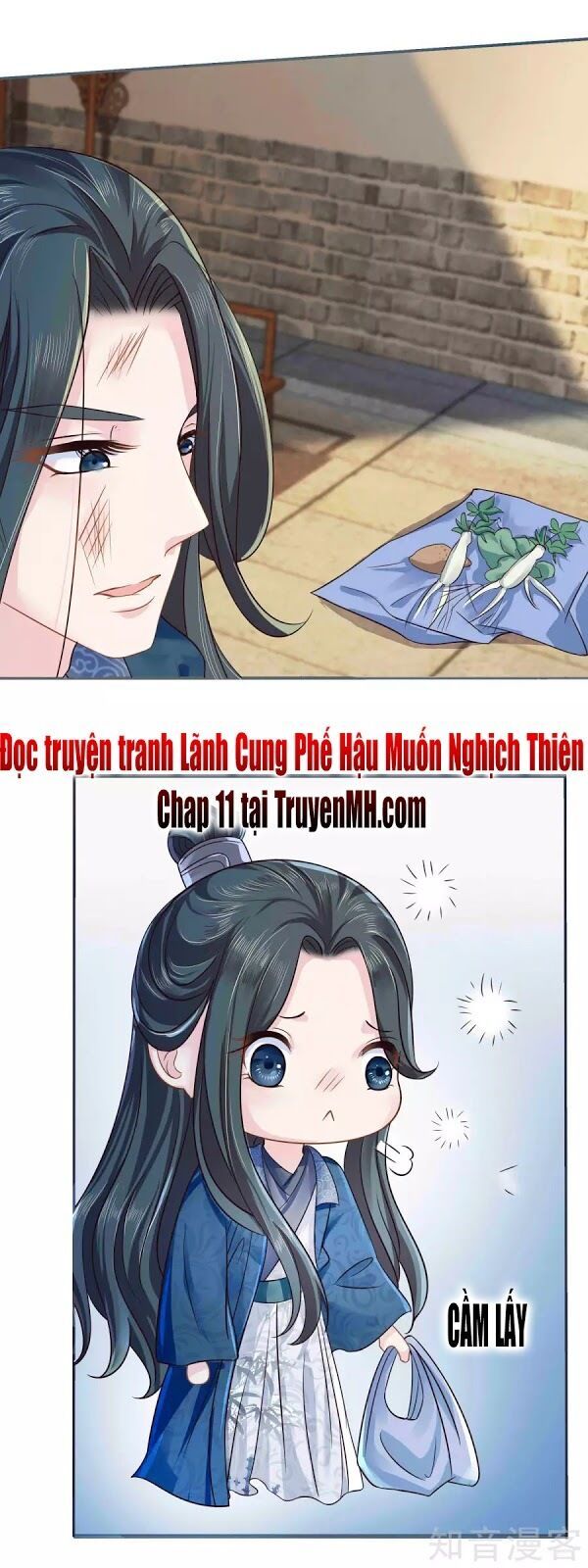 đọc truyện Lãnh Cung Phế Hậu Muốn Nghịch Thiên Chương 10 ảnh 17 tại Thiên Thai Truyện