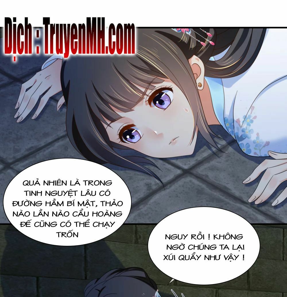 đọc truyện Lãnh Cung Phế Hậu Muốn Nghịch Thiên Chương 101 ảnh 21 tại Thiên Thai Truyện