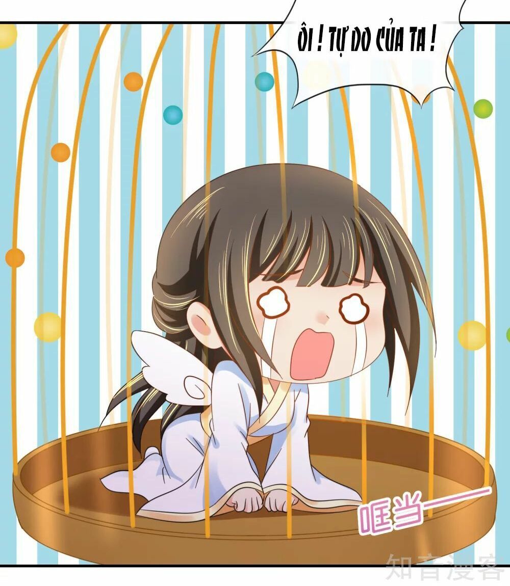 đọc truyện Lãnh Cung Phế Hậu Muốn Nghịch Thiên Chương 138 ảnh 15 tại Thiên Thai Truyện