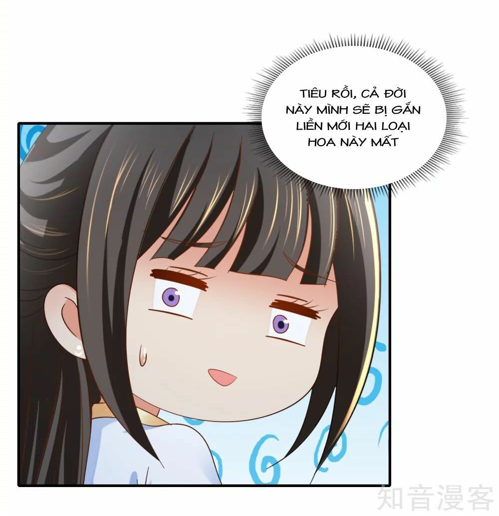 đọc truyện Lãnh Cung Phế Hậu Muốn Nghịch Thiên Chương 138 ảnh 9 tại Thiên Thai Truyện