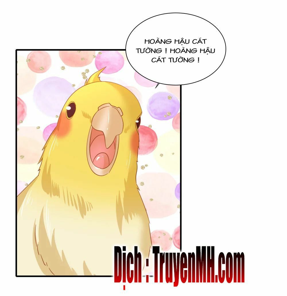 đọc truyện Lãnh Cung Phế Hậu Muốn Nghịch Thiên Chương 140 ảnh 8 tại Thiên Thai Truyện