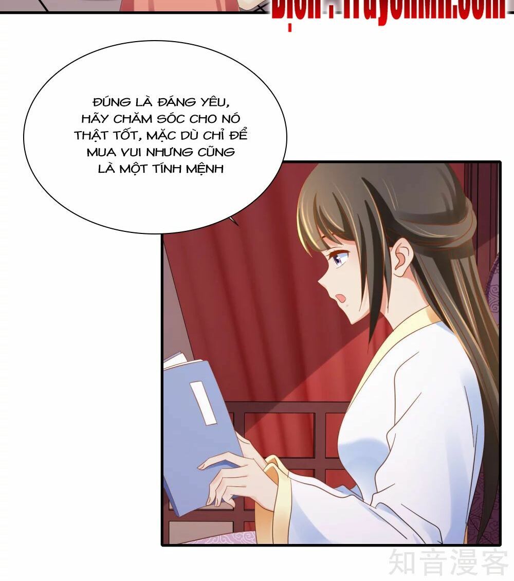 đọc truyện Lãnh Cung Phế Hậu Muốn Nghịch Thiên Chương 140 ảnh 11 tại Thiên Thai Truyện