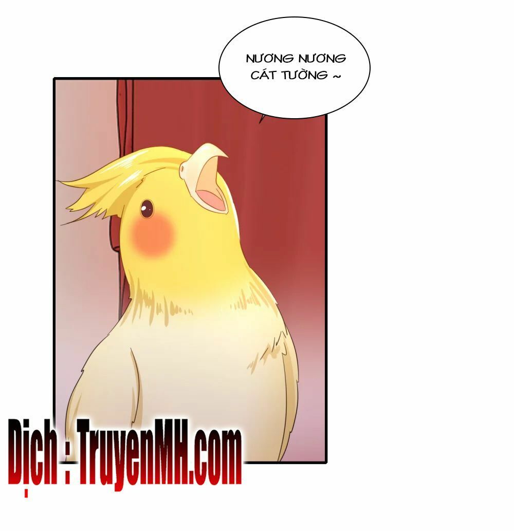 đọc truyện Lãnh Cung Phế Hậu Muốn Nghịch Thiên Chương 141 ảnh 23 tại Thiên Thai Truyện