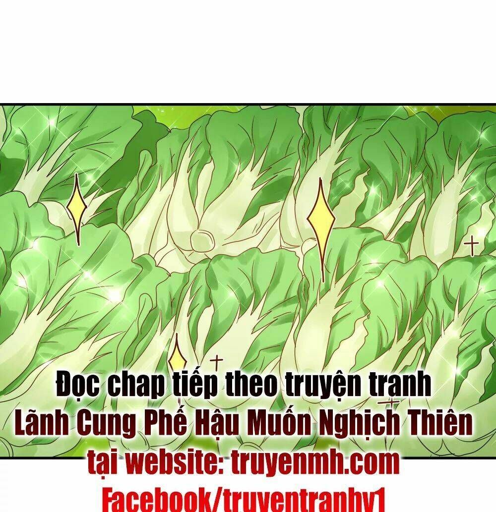 đọc truyện Lãnh Cung Phế Hậu Muốn Nghịch Thiên Chương 147 ảnh 21 tại Thiên Thai Truyện