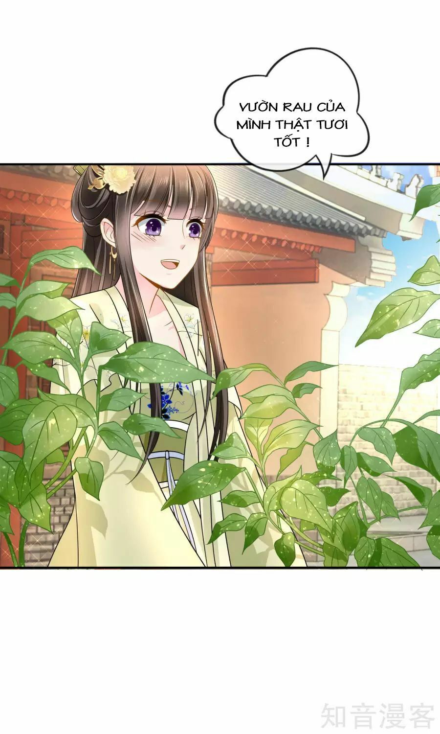 đọc truyện Lãnh Cung Phế Hậu Muốn Nghịch Thiên Chương 23 ảnh 21 tại Thiên Thai Truyện