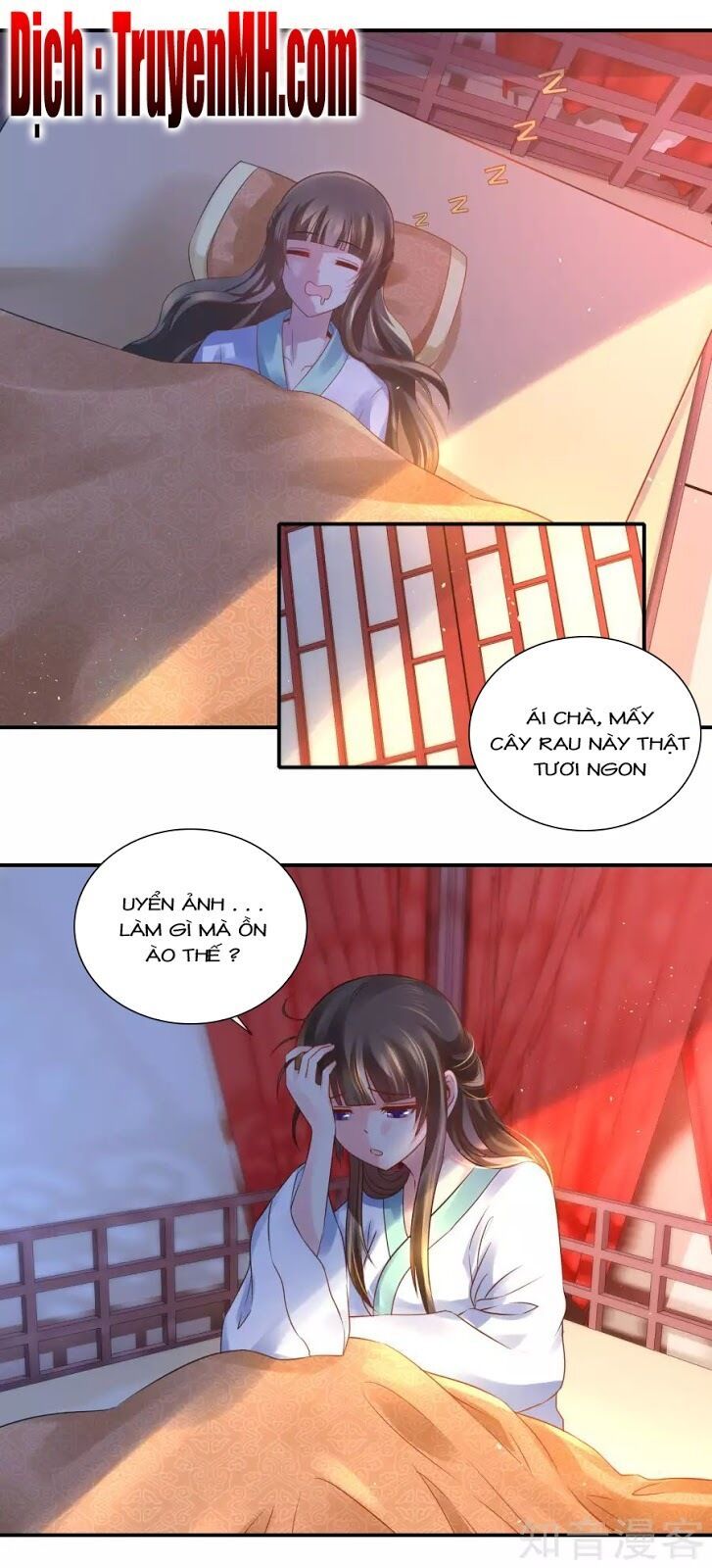 đọc truyện Lãnh Cung Phế Hậu Muốn Nghịch Thiên Chương 44 ảnh 8 tại Thiên Thai Truyện