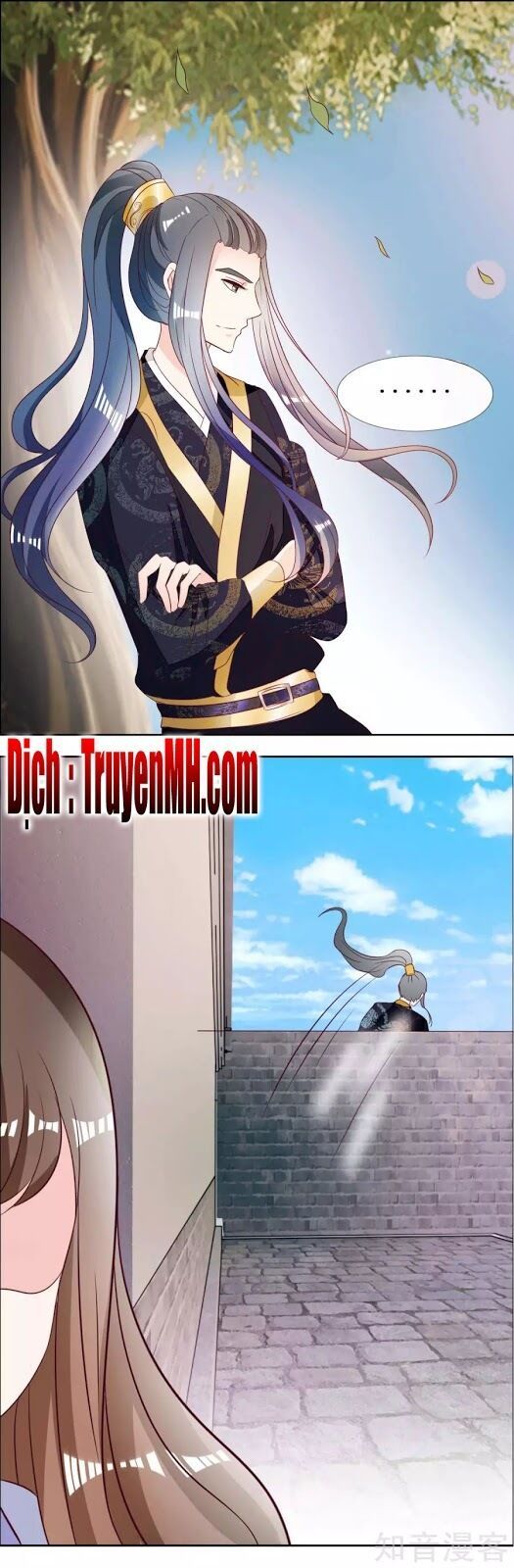 đọc truyện Lãnh Cung Phế Hậu Muốn Nghịch Thiên Chương 7 ảnh 13 tại Thiên Thai Truyện