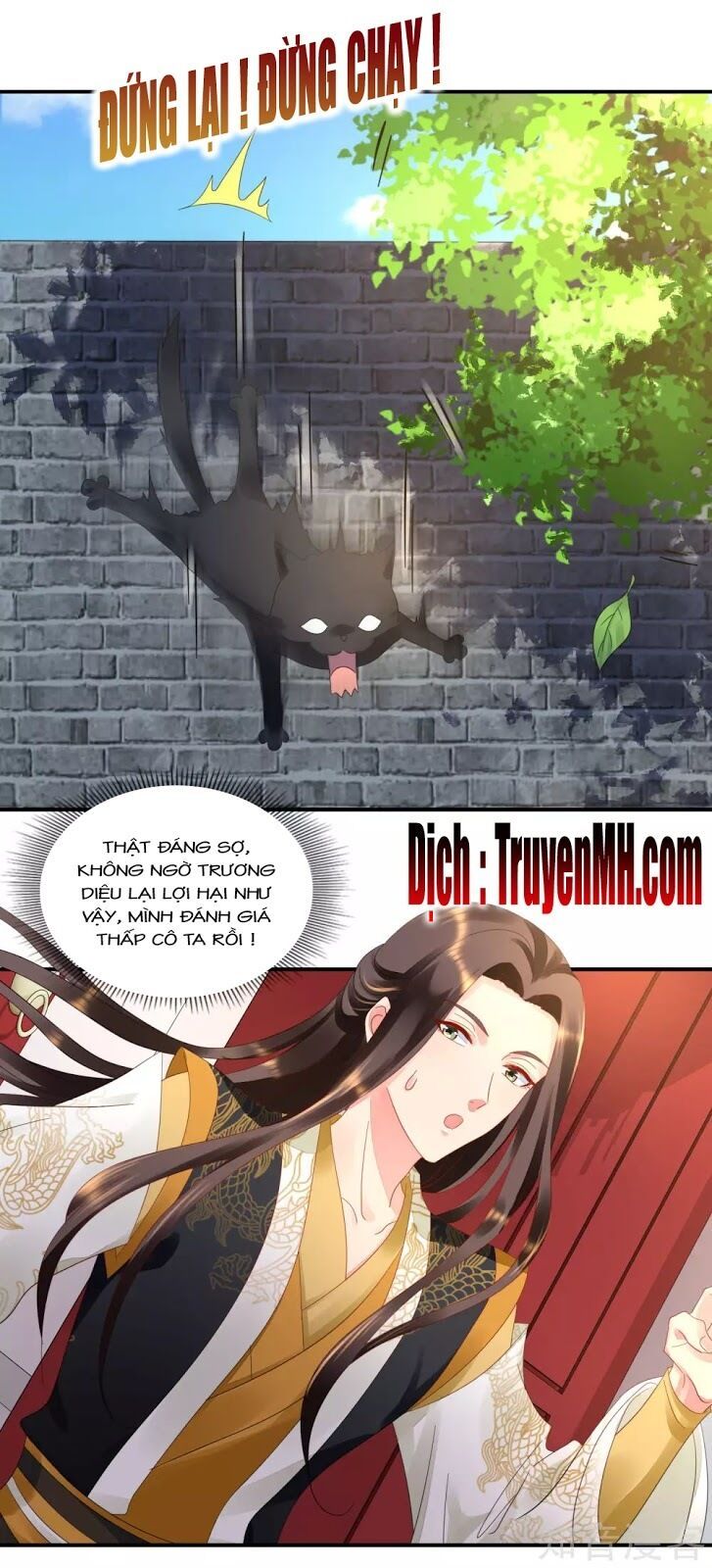 đọc truyện Lãnh Cung Phế Hậu Muốn Nghịch Thiên Chương 78 ảnh 11 tại Thiên Thai Truyện