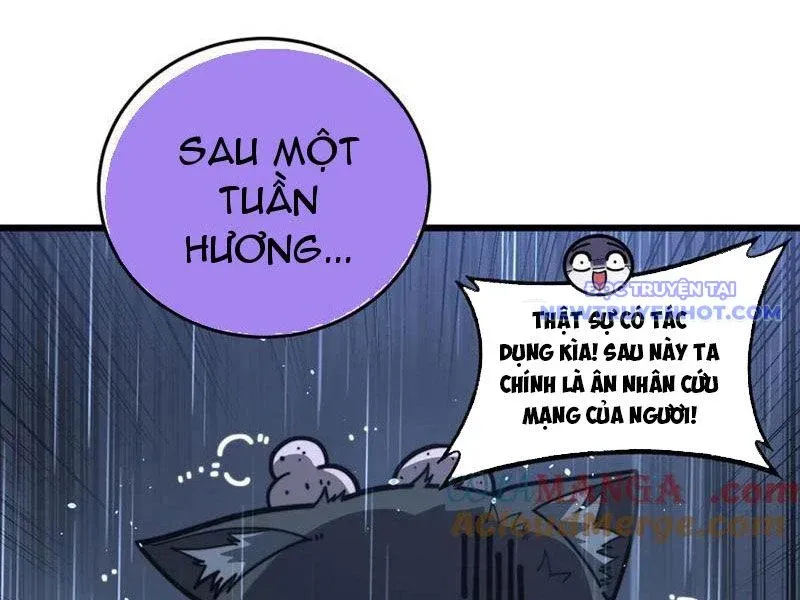 đọc truyện Lão Xà Tu Tiên Truyện Chương 24 ảnh 4 tại Thiên Thai Truyện