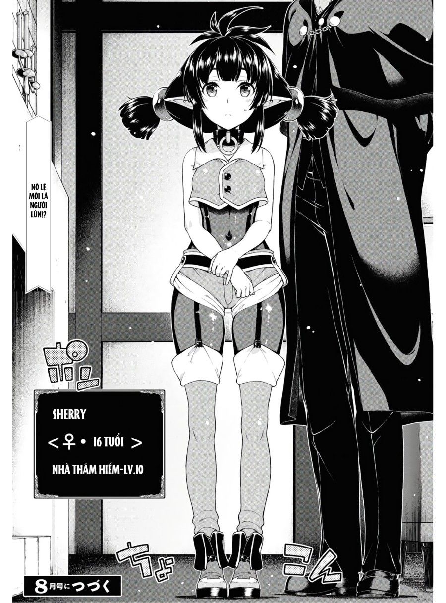 Lập Harem Chốn Mê Cung Ở Dị Giới Chương 28 page 29 - Giả Dược