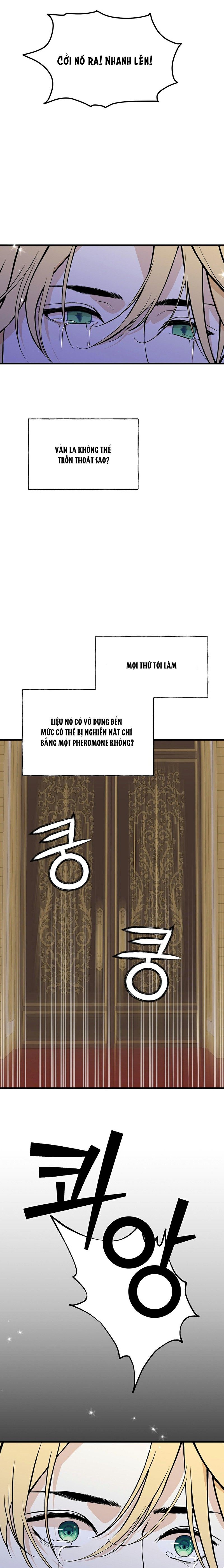 đọc truyện Lễ Cưới Hoàng Gia Chương 12 ảnh 14 tại Thiên Thai Truyện