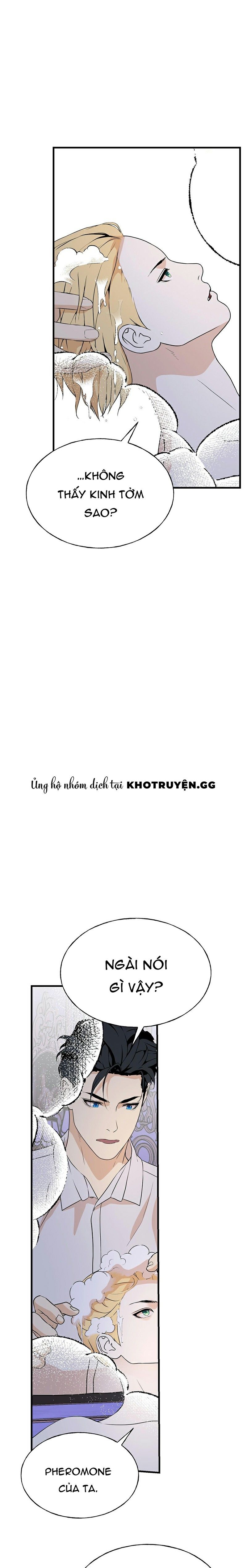 đọc truyện Lễ Cưới Hoàng Gia Chương 13 ảnh 5 tại Thiên Thai Truyện