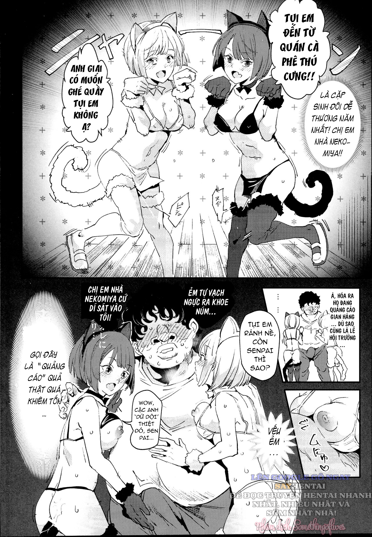 đọc truyện Lễ Hội Sau Trường Cũ #2_ Đơn Hàng Của Quý Khách Có Phải Là Giao Phối_ - Chương Cafe Thân Mật Với Động Vật Chương 1 ảnh 14 tại Thiên Thai Truyện