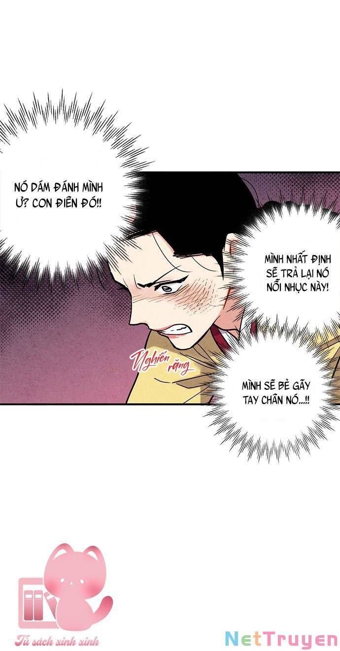 đọc truyện Lệnh Cấm Hôn Của Hoàng Đế Bệ Hạ Chương 81 ảnh 19 tại Giả Dược